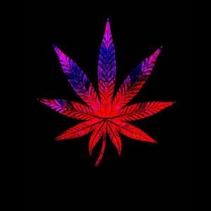 Meet your Posher, Jacques